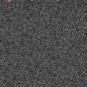 Meet your Posher, Jose